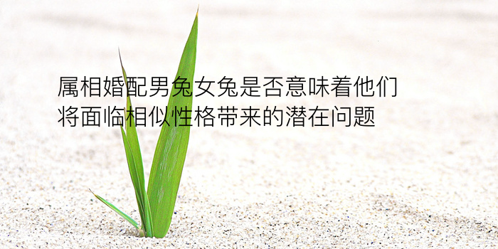 八字免费算命游戏截图