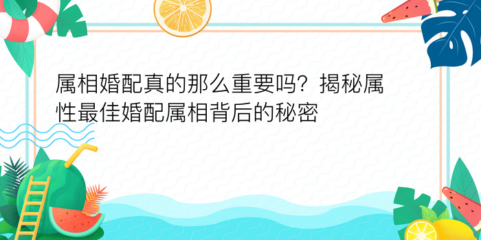 手机号配对教程视频游戏截图