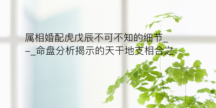 属相婚配虎戊辰不可不知的细节_-_命盘分析揭示的天干地支相合之谜