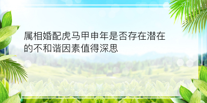 属相婚配虎马甲申年是否存在潜在的不和谐因素值得深思