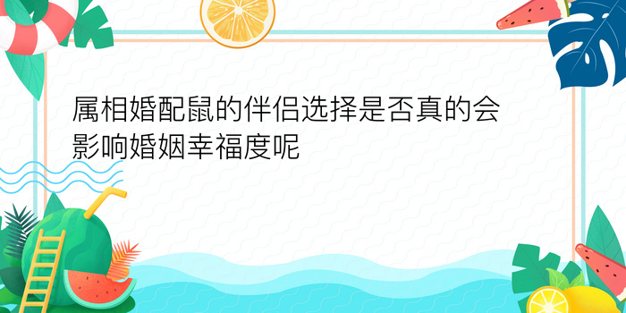 手机号姓名配对测试游戏截图