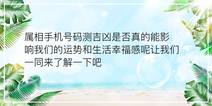 鼠的配对属相婚配表游戏截图