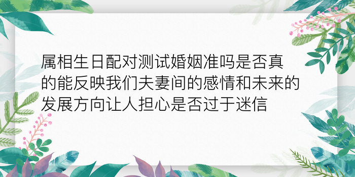 查属相婚配游戏截图