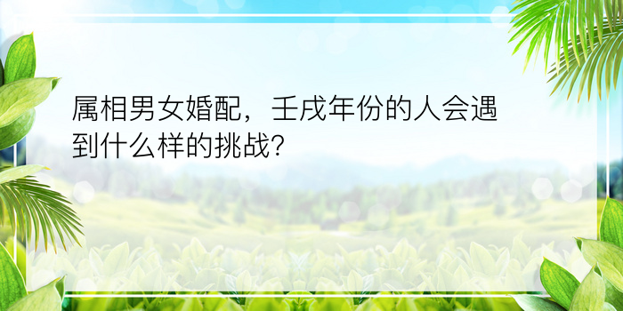 属相男女婚配，壬戌年份的人会遇到什么样的挑战？