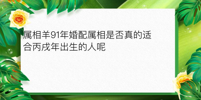 车牌号吉凶在线查询游戏截图