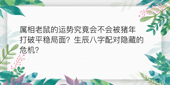 属相婚配查询游戏截图