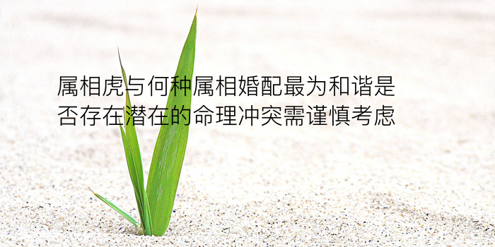 生辰八字姓名配对游戏截图