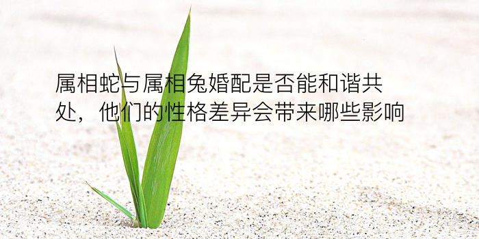 属相狗的婚配游戏截图