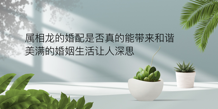 公司八字起名游戏截图