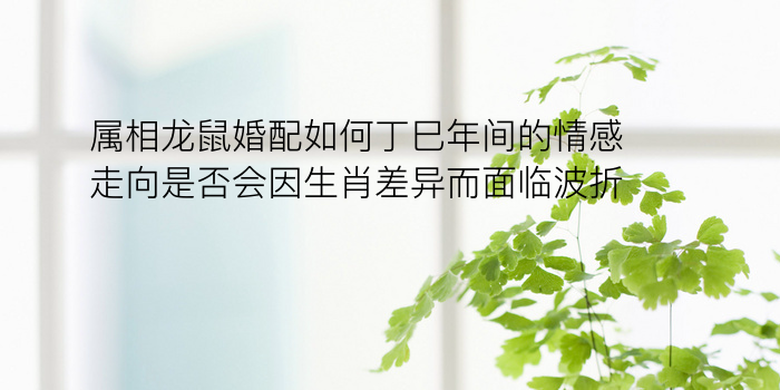 八字运程名称游戏截图