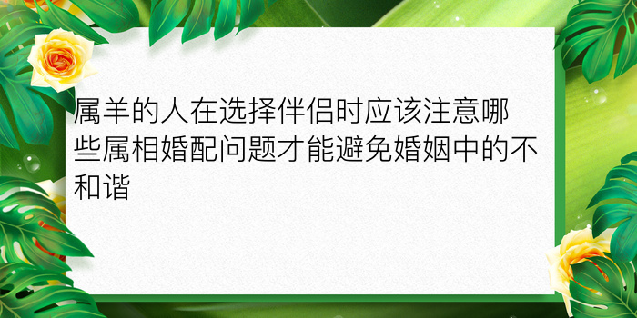 属羊的人在选择伴侣时应该注意哪些属相婚配问题才能避免婚姻中的不和谐