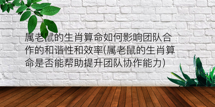 属老鼠的生肖算命如何影响团队合作的和谐性和效率(属老鼠的生肖算命是否能帮助提升团队协作能力)