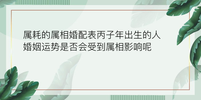 属耗的属相婚配表丙子年出生的人婚姻运势是否会受到属相影响呢