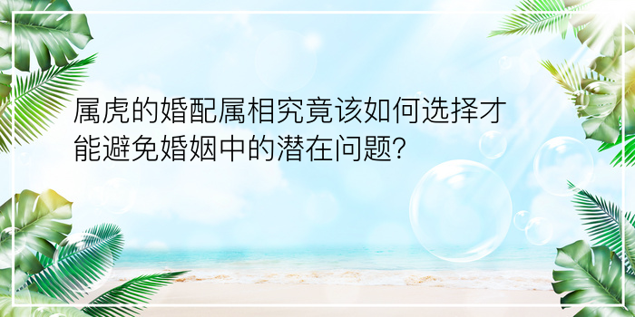 属虎的婚配属相究竟该如何选择才能避免婚姻中的潜在问题？