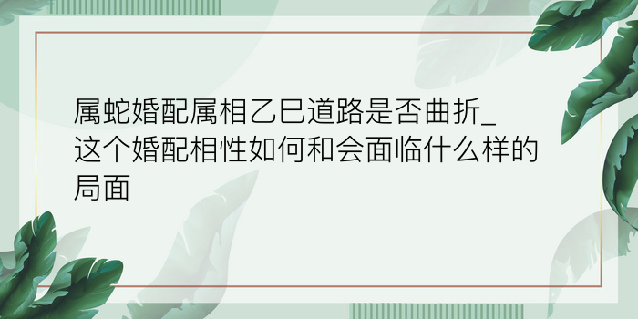 八字配对测试智商游戏截图