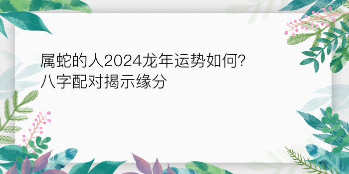 按生辰八字算命游戏截图