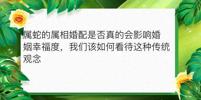 属蛇的属相婚配是否真的会影响婚姻幸福度，我们该如何看待这种传统观念