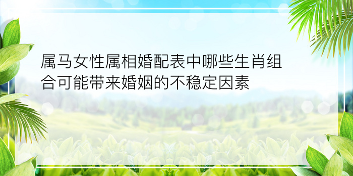 属马女性属相婚配表中哪些生肖组合可能带来婚姻的不稳定因素