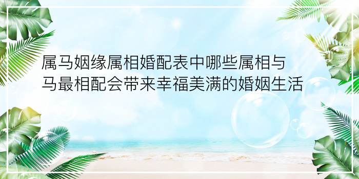 属马姻缘属相婚配表中哪些属相与马最相配会带来幸福美满的婚姻生活