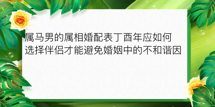 属马男的属相婚配表丁酉年应如何选择伴侣才能避免婚姻中的不和谐因素