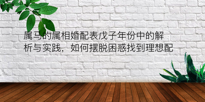 属马的属相婚配表戊子年份中的解析与实践，如何摆脱困惑找到理想配偶