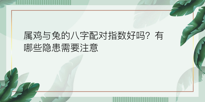 鼠的配对属相婚配表游戏截图