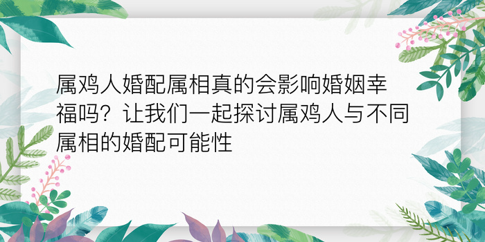 属鸡人婚配属相真的会影响婚姻幸福吗？让我们一起探讨属鸡人与不同属相的婚配可能性