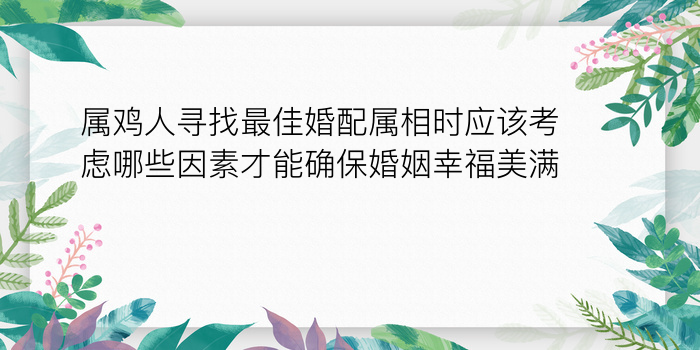 属鸡人寻找最佳婚配属相时应该考虑哪些因素才能确保婚姻幸福美满