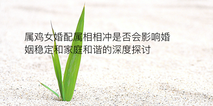 八字算命瓷都游戏截图