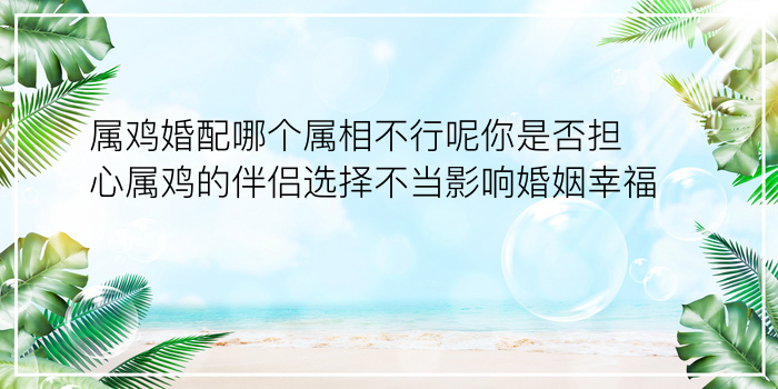 爱情生日配对游戏截图