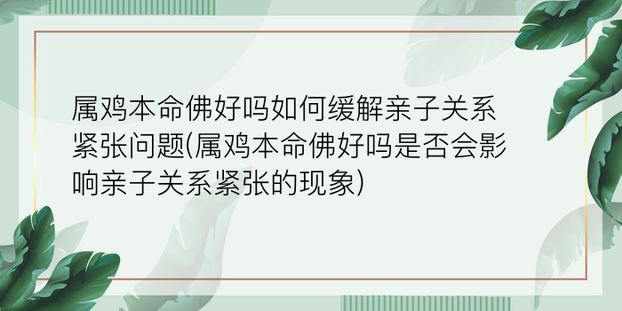 属鸡本命佛好吗如何缓解亲子关系紧张问题(属鸡本命佛好吗是否会影响亲子关系紧张的现象)