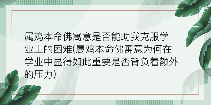 二零二算运网