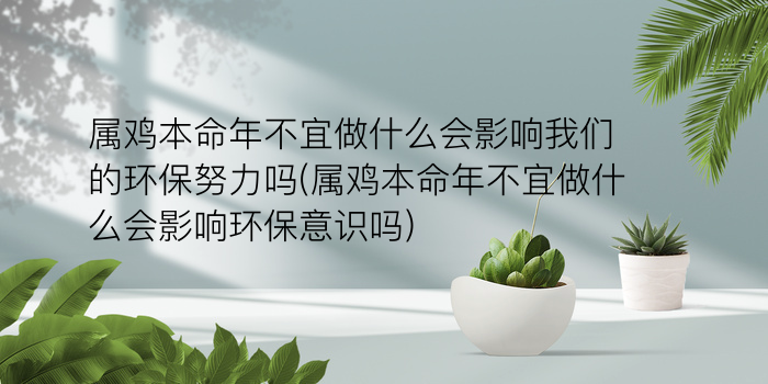 找人算命算哪个生肖好游戏截图