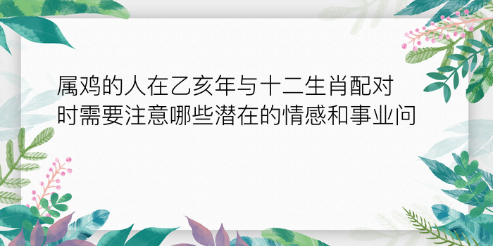 属鸡的人在乙亥年与十二生肖配对时需要注意哪些潜在的情感和事业问题