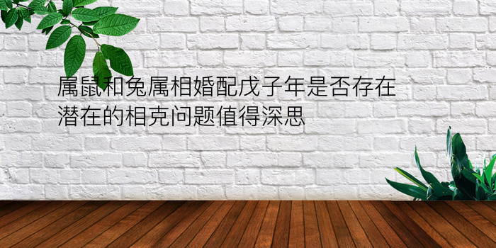 属鼠和兔属相婚配戊子年是否存在潜在的相克问题值得深思