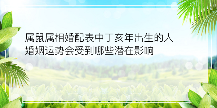 属鼠属相婚配表中丁亥年出生的人婚姻运势会受到哪些潜在影响