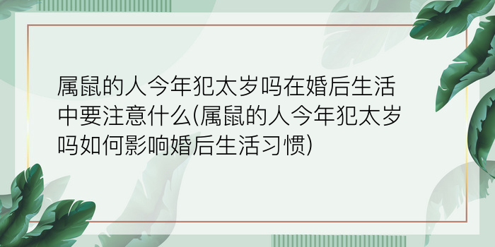 属鼠的人今年犯太岁吗在婚后生活中要注意什么(属鼠的人今年犯太岁吗如何影响婚后生活习惯)