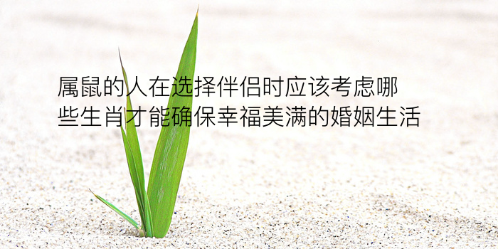 配对生日游戏截图