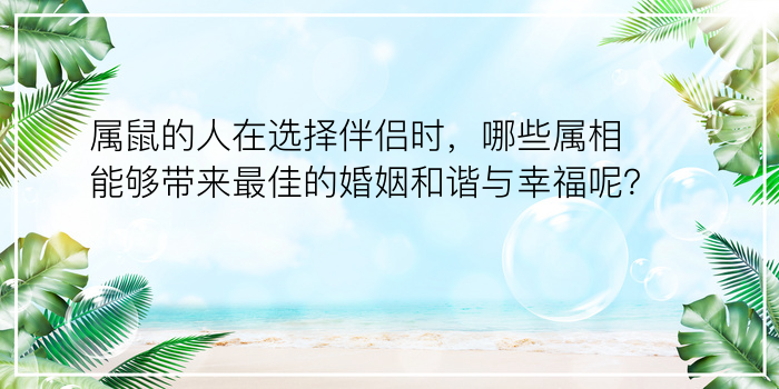 属鼠的人在选择伴侣时，哪些属相能够带来最佳的婚姻和谐与幸福呢？