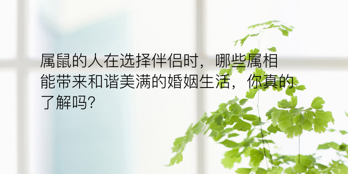 属鼠的人在选择伴侣时，哪些属相能带来和谐美满的婚姻生活，你真的了解吗？