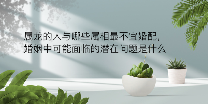 月亮星座婚姻配对游戏截图