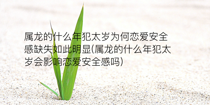 本命年过生日吗游戏截图