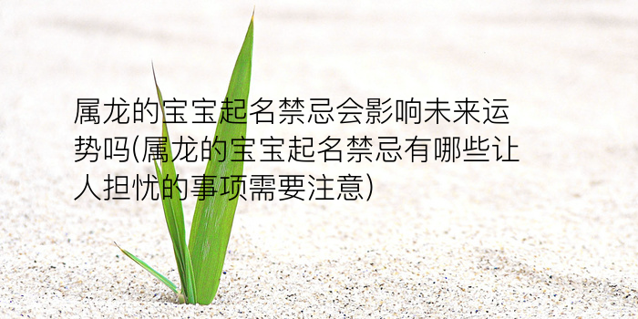 夏氏起名字男孩起名字游戏截图