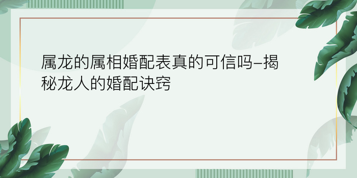 属龙的属相婚配表真的可信吗-揭秘龙人的婚配诀窍