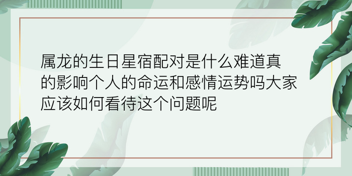 属相狗婚配游戏截图