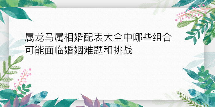 77属蛇的属相婚配表游戏截图