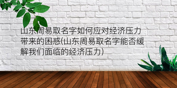 山东周易取名字如何应对经济压力带来的困惑(山东周易取名字能否缓解我们面临的经济压力)