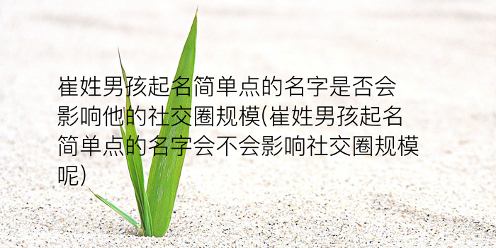 公司起名寓意好的字游戏截图