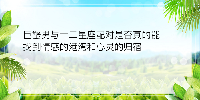 巨蟹男与十二星座配对是否真的能找到情感的港湾和心灵的归宿