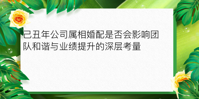 己丑年公司属相婚配是否会影响团队和谐与业绩提升的深层考量